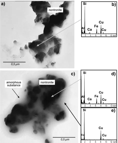 Fig. 6. Total water uptake (in ml/g H 2 O vs. time) into sterile and bacteria-containing nontronite (a) and MX80 bentonite (b) powders as determined by weight gain.