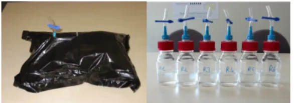 Figure 1 A modified Tedlar ®  bag and the modified butanol reference bottles. 