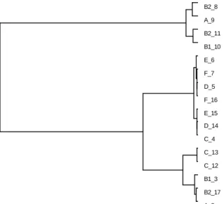 Figure 3: dynamic phase, P.C.A and hierarchical classification 