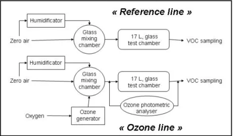 Figure 1 The experimental setup. 