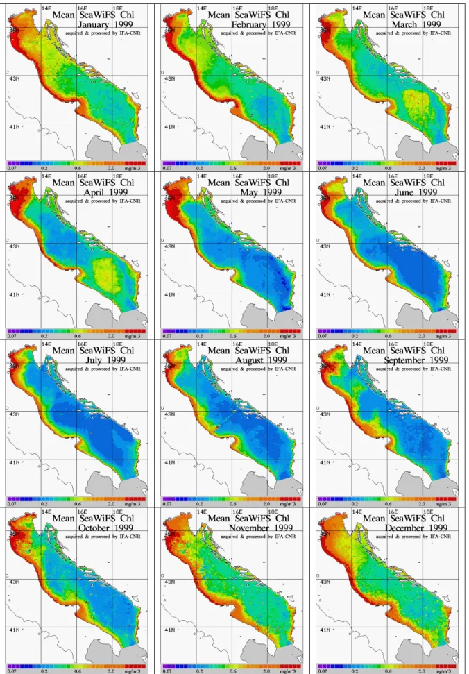 Fig. 3a. Monthly averaged Chl fields for the January – December 1999 period.