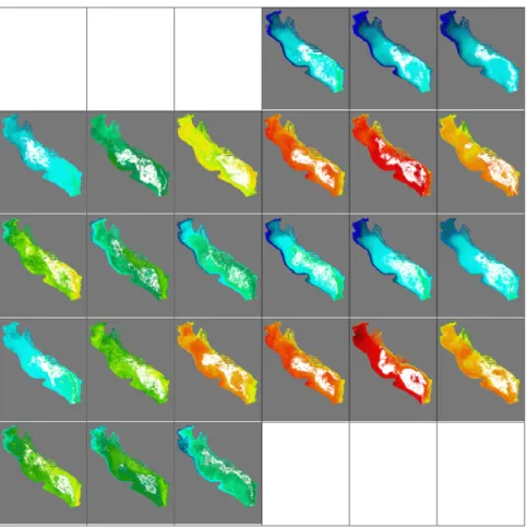 Fig. 4a. Spatial distribution of modal pixels for the period January 1999 -  De-cember 2000