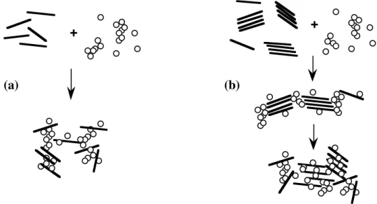 Figure  4  :  Schematic  representation  of  the  aggregation  of  saponite  by  hydrolyzed  aluminum  species  