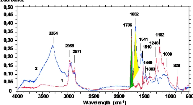 Figure 1. Transmission Infrared spectra of (1)resin and (2) organic matter obtained from  1µm section 