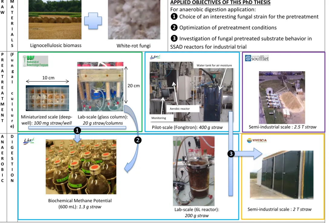 Figure 3. Study of fungal pretreatment for wheat straw anaerobic digestion in Stockactif project: 