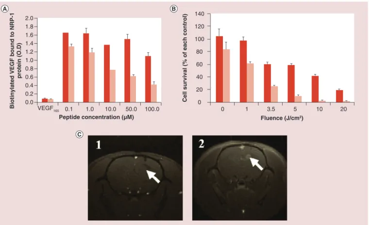 Figure 4. GuIX nanoparticles for photodynamic therapy guided by MRI. (A) Binding of untargeted AGuIX nanoparticles (dark red)  and AGuIX nanoparticles functionalized by ATWLPPR (light red) toward NRP-1 recombinant protein