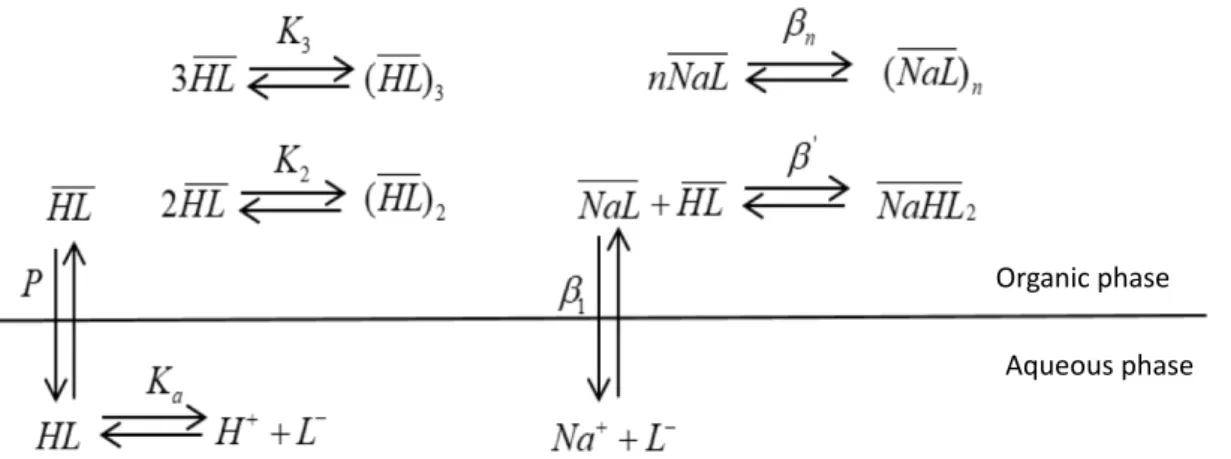 Figure 4: Equilibria used for the investigation of extractant saponification.  