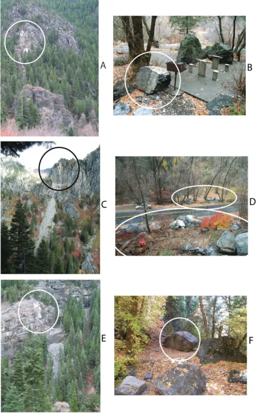 Fig. 9. Pairs of photographs showing source areas (circled at left) and rocks (circled at right) from recent rockfall events in and near the study area
