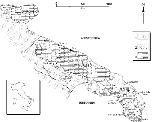 Fig. 1. Geological sketch of Apulia, showing the localities cited in the text. Explanation: 1) alluvial deposits, clays and calcarenites (Pliocene-Pleistocene); 2) bioclastic carbonate rocks (Paleogene) and calcarenites (Miocene); 3) carbonate platform roc