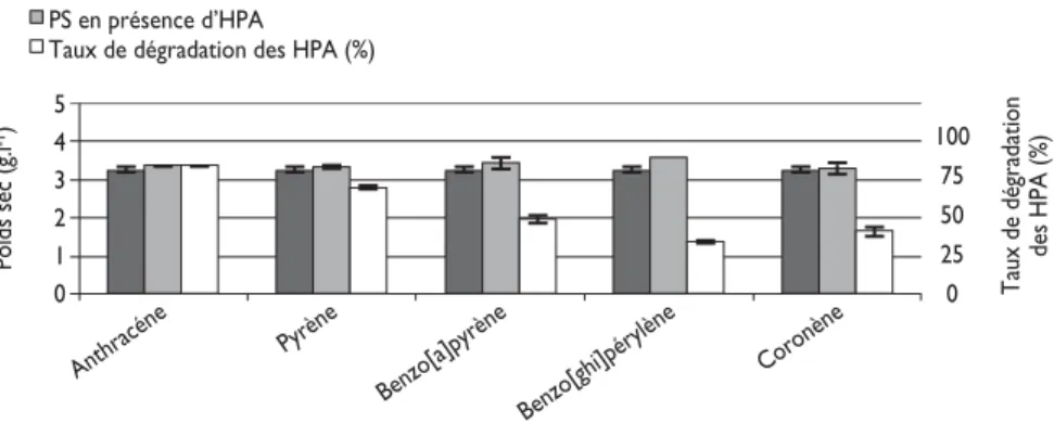 Figure 1 : Taux de dégradation des différents HPA et biomasses produites par Fusarium solani cultivé sur milieu minimum plus glucose.