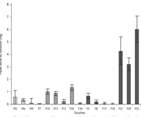 Fig. 1. Biomasse mycélienne des souches isolées après 27 jours de cultu- cultu-re en milieu minéral additionné de benzo[a]pyrène (M : Mucor, P : Penicillium, T : Trichoderma, F : Fusarium).