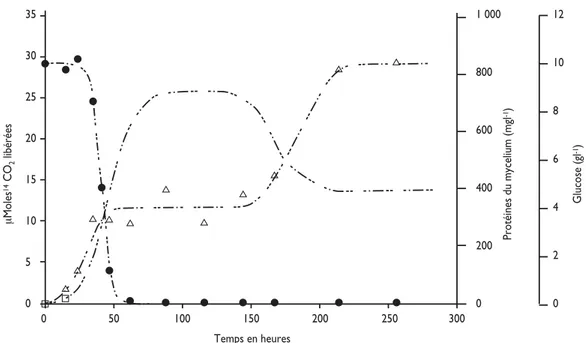 Fig. 2. Cinétique de croissance de Fusarium solani F33 en fermenteur contenant 1,6 l de milieu minéral additionné de 302 mg de [7,10 -14 C]benzo[a]pyrene
