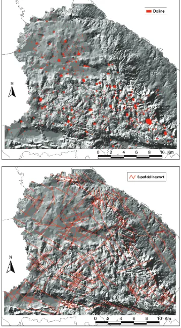 Fig. 2. Digital elevation model of the study area based on the con- con-tour lines of the 1:25000 topographical map overlaid by: (a) doline distribution collected by stereoscopic aerial photograph analysis;