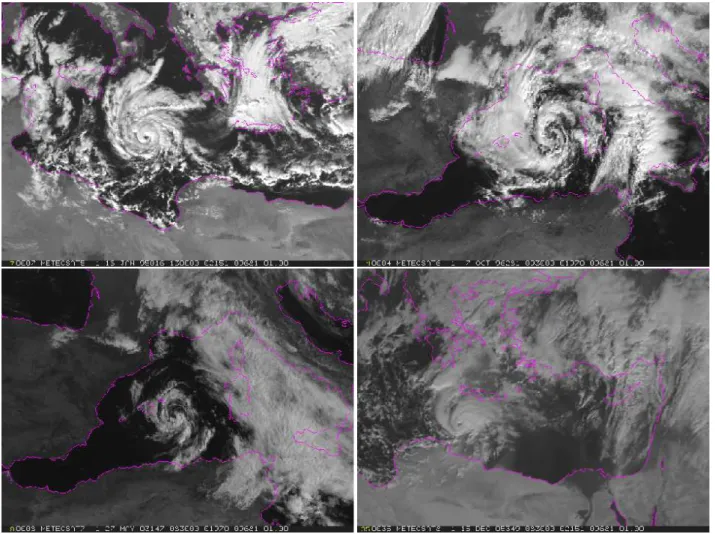 Fig. 1. Four tropical-like Mediterranean storms observed from the Meteosat visible channel
