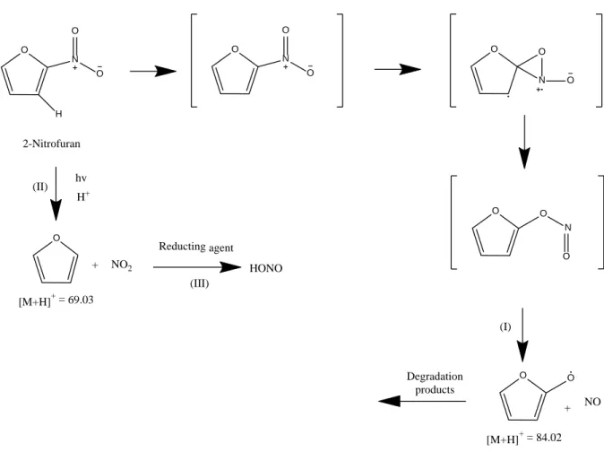 Figure 5: Suggested mechanism of formation of NO, NO 2  and HONO from 2-Nitrofuran under  317 