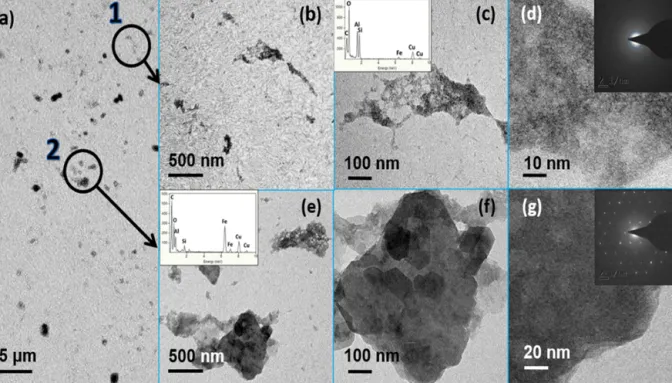 Figure 8. TEM images of the newly formed particles in the precipitation experiment. Based on the TEM-EDX measurement and SAED analysis, these particles could be categorized into two different types, which are circled in (a)