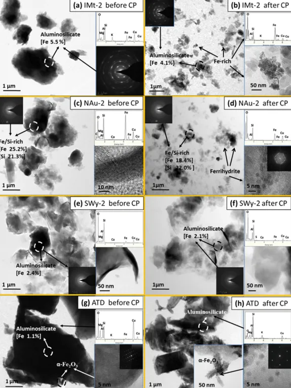Figure 1. Comparison of morphologies and chemical properties for samples collected before and after CP using TEM