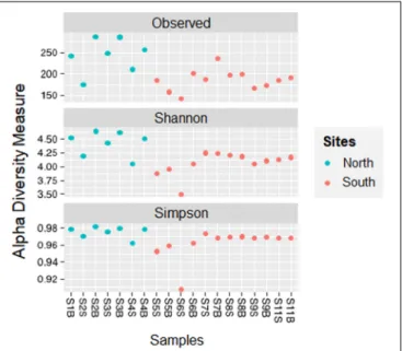 FIGURE 2 | Comparison of alpha diversity indices (Observed, Shannon, Simpson) between sampling sites and location groups (from North or South bays) along Tunisian coast.