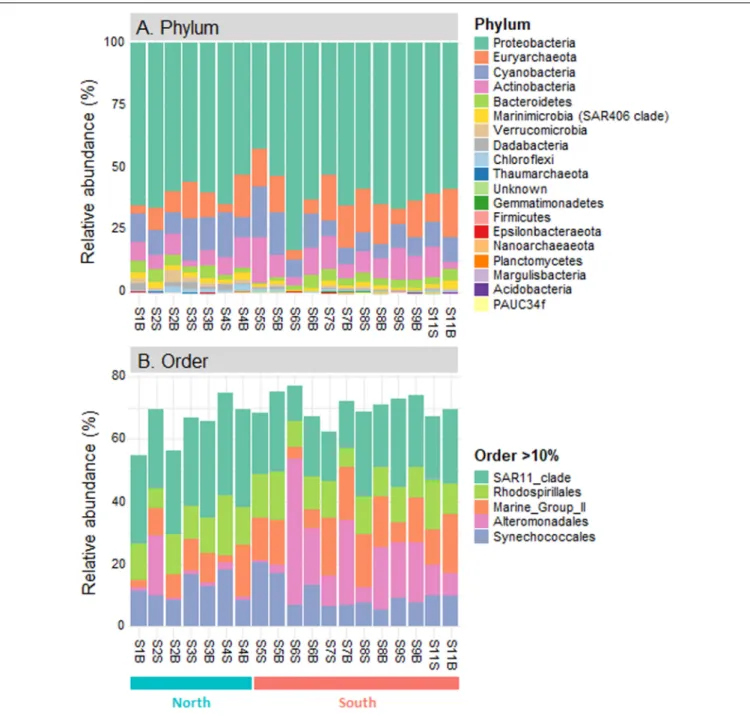 FIGURE 3 | Composition of prokaryotic communities in the seawater samples along the Tunisian coast (South Mediterranean Sea)