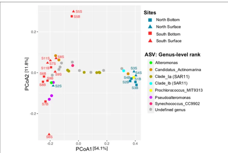 FIGURE 4 | Principal Coordinate Analysis (PCoA) ordination based on Bray-Curtis distance matrix from the prokaryotic community (ASV level) across all seawater samples collected along Tunisian coast
