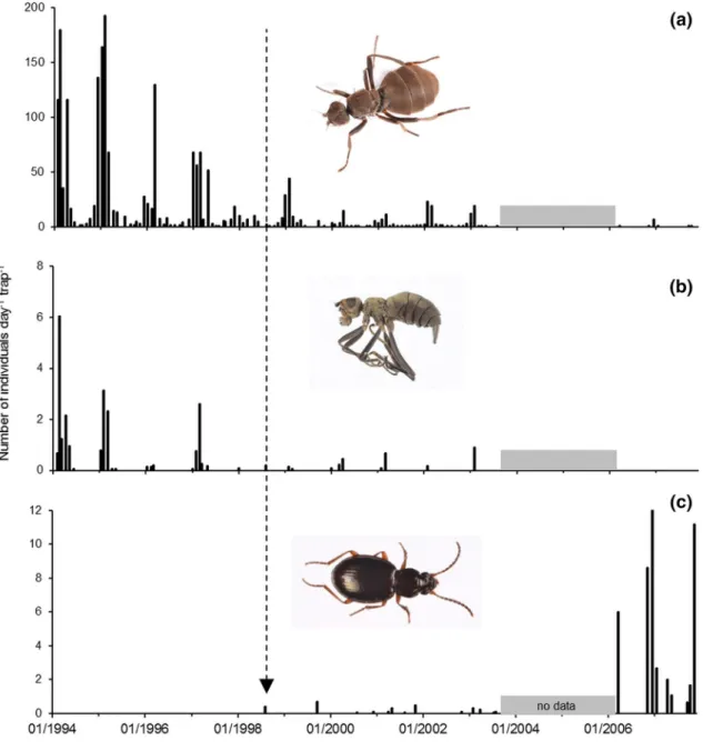 Figure 6.  Captures of invertebrates by trapping at Île Guillou, Kerguelen Islands, between 1994 and 2007