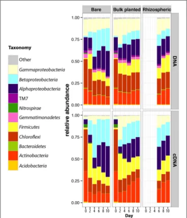 FIGURE 4 | Dynamics of the taxonomic composition of resident and active bacterial communities in bare, bulk planted and rhizospheric soil