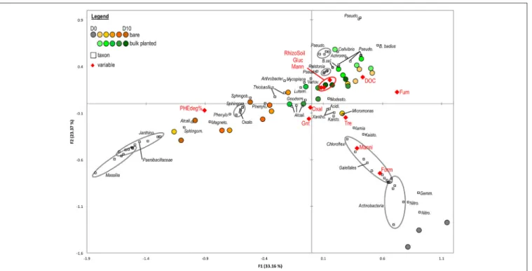 FIGURE 5 | Canonical Correspondance Analysis based on the distribution of abundant OTUs ( > 1% in at least one sample) in cDNA libraries