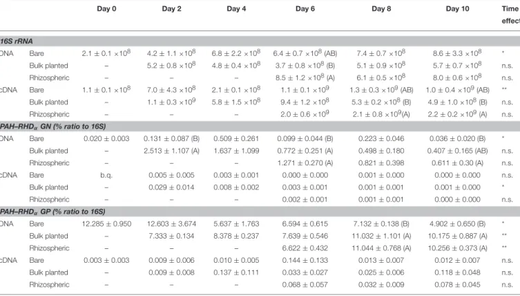 TABLE 1 | Quantification of bacterial 16S rRNA and PAH–RHD α genes and transcripts in soils from 0 to 10 days.