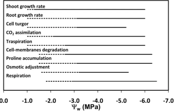 Fig. 6. E ff ects of the decrease in pre-dawn leaf water potential ( Ψ w ) on physiological processes of olive plants