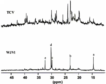 Fig. 5. Examples of  13 C-RMN spectra of the soluble fraction from the TCV (Cretaceous) and WJVl (Jurassic)  coals