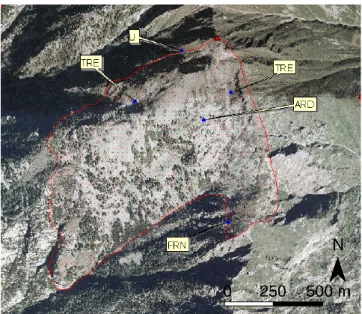 Fig. 9. Example elements used as “anchor points/elements” for large slope instability recognition