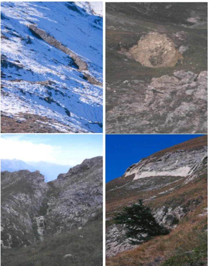 Fig. 4. Surficial deformations and structural elements of the Clot Brun large slope instability: (a) counterslope (b) closed depression (c) trench (d) fault scarp.