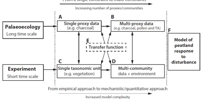 Figure 10. A concept for linking palaeoecological and experimental approaches. The diagram shows an  increasing complexity of the palaeoecological information/record from one proxy to multiple proxies,  paralleled by an increasing complexity in experiments