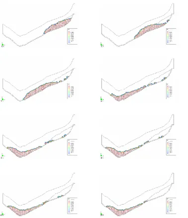 Fig. 18. Ruinon rock slide model. Sequence of images showing the velocity field within the flowing mass at successive time steps.