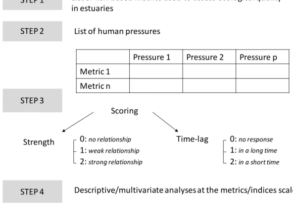 Figure 3. Methodology followed in the analysis of cause-effect relationships strength and time lag in  response to human pressures of metrics used to assess water quality of estuarine systems  based on fish assemblages