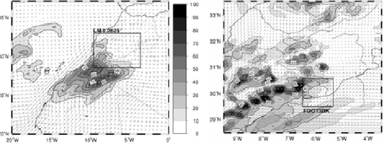 Fig. 3. LM simulated 24 h rainfall (mm/day, colours) for 31/03/2002 (a) 0.25 ◦ resolution (wind in 700 hPa, barbs), in (b) 0.0625 ◦ (7 km) resolution (wind in 950 hPa, barbs).