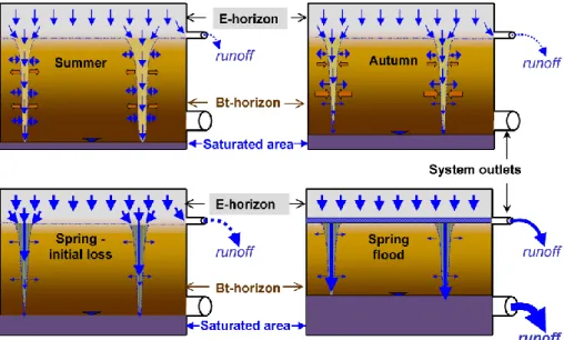 Fig. 7. Scheme of the discussed runoff-generation mechanism of spring flood events in catchments with predominating podzoluvisols