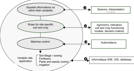 FIGURE 1. The different skills to gather for handling within-field variability into cultural practices