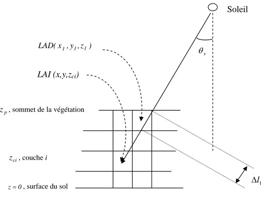 Figure 2. 4 : illustration en 2D (X-Z) du calcul de la transmission du rayonnement direct  dans la végétation 