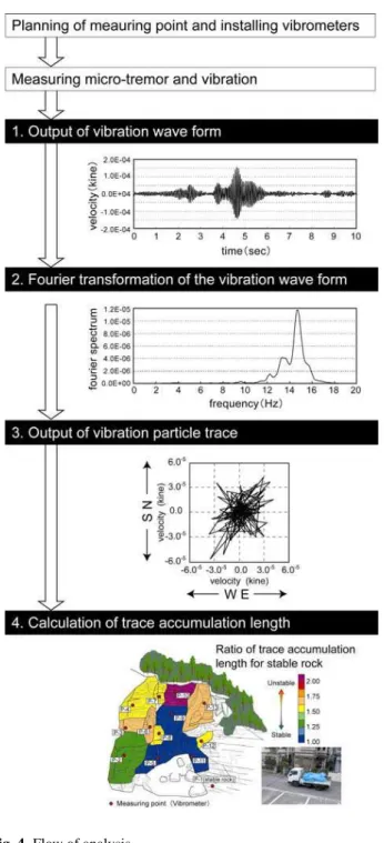 Fig. 4. Flow of analysis.