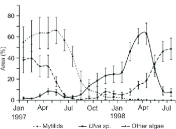 Fig. 3. Mean coverage of rocky shore species in Bah´ıa Anc´on (cen- (cen-tral Peru) during El Ni˜no 1997–98