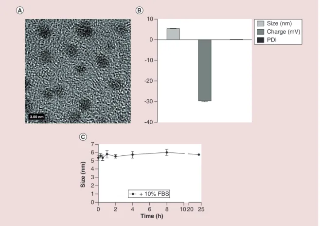 Figure 1. Physical characterization and stability of Au@DTDTPA nanoparticles. (A) High resolution transmission  electron micrograph of Au@DTDTPA nanoparticles