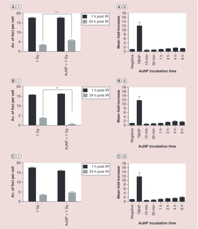 Figure 5. DNA damage and reactive oxygen species yields following Au@DTDTPA treatment