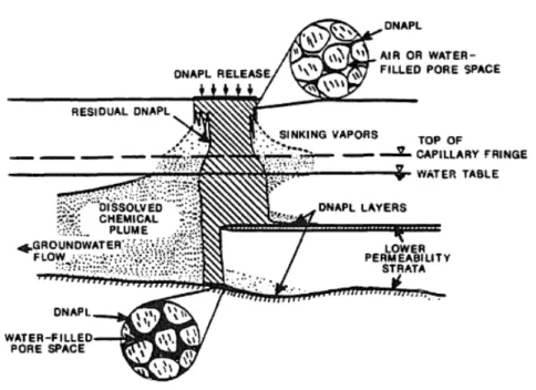 Figure 2.1 : Représentation schématique de la distribution des DNAPLs après une fuite accidentelle d’après Mercer et Cohen (1990)