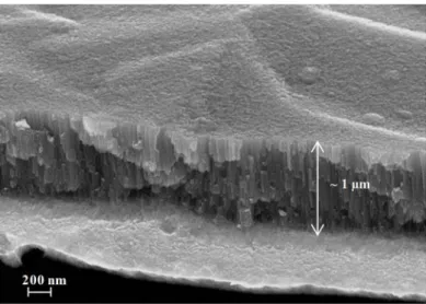 Figure 2: SEM micrograph of layer morphology deposited onto quartz electrode from   bronze alloy target