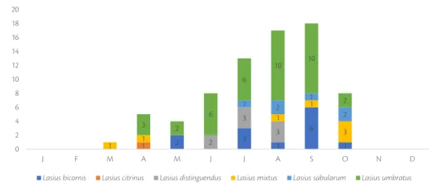 Figure 13. Occurrences relevées (2014-2020) de Chthonolasius dans les Hauts-de-France  en fonction des mois de l’année : une vue d’ensemble