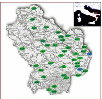 Figure 1: The pilot area: Basilicata region in Southern Italy. In green and in blue are plotted the 40 measurement  stations of Agenzia Lucana per lo Sviluppo e l’Innovazione in Agricoltura (ALSIA) measurement network (from  http://www.alsia.it/servizi.htm