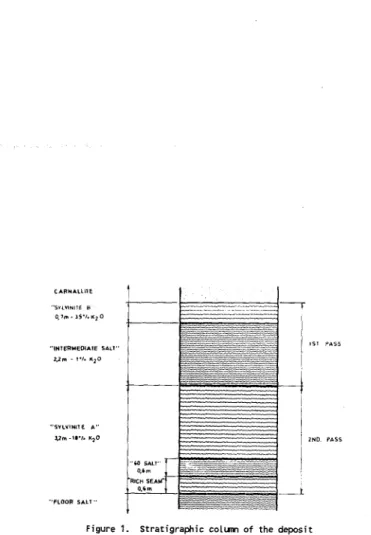 Figure 1. Stratigraphic colunn of the deposit