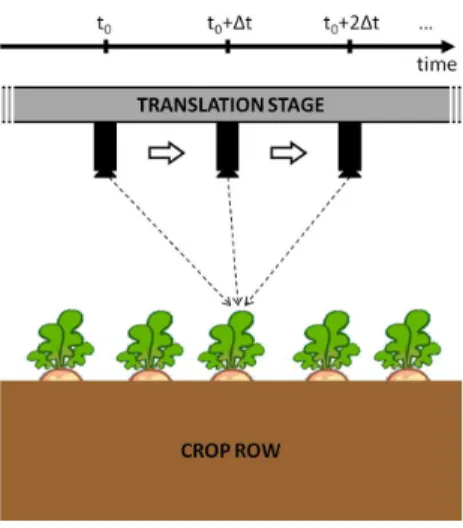 Figure 2: Example of experimental setup used to implement Structure from Motion. The camera is translated along the crop row so as to image every point from various view angles (represented by dashed arrows).