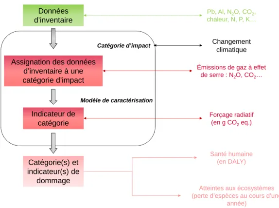 Figure 2-5 : Démarche de l’évaluation des impacts sur l’exemple du changement climatique, d’après la norme (ISO 14044 2006)